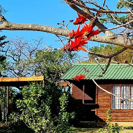 Kiaat Bungalows Hazyview Exterior photo
