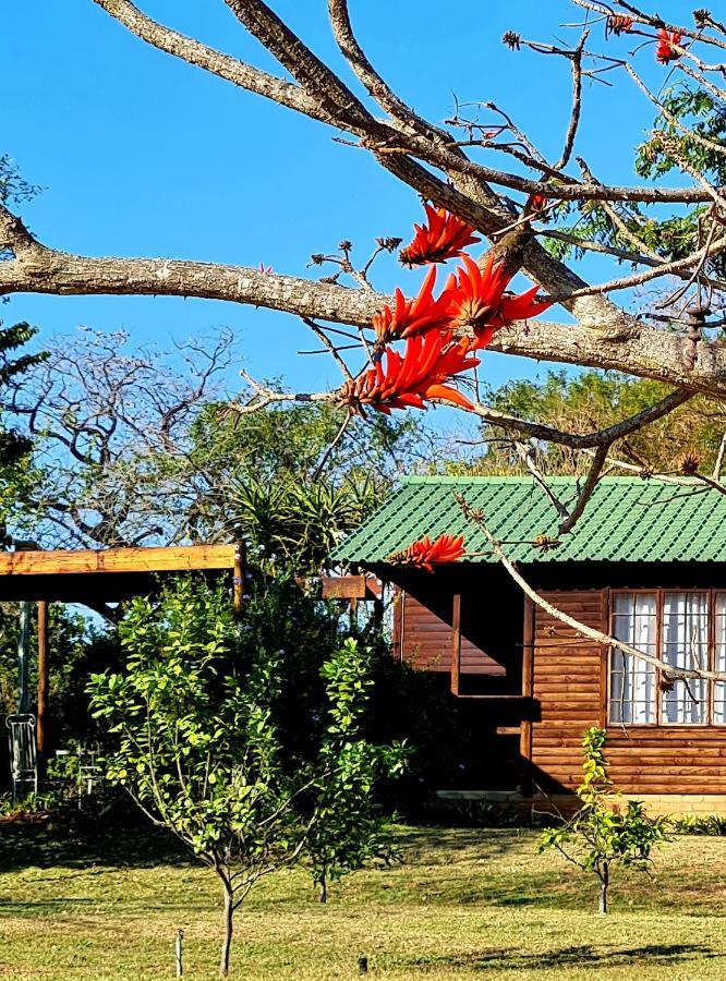 Kiaat Alojamento de Turismo Rural Hazyview