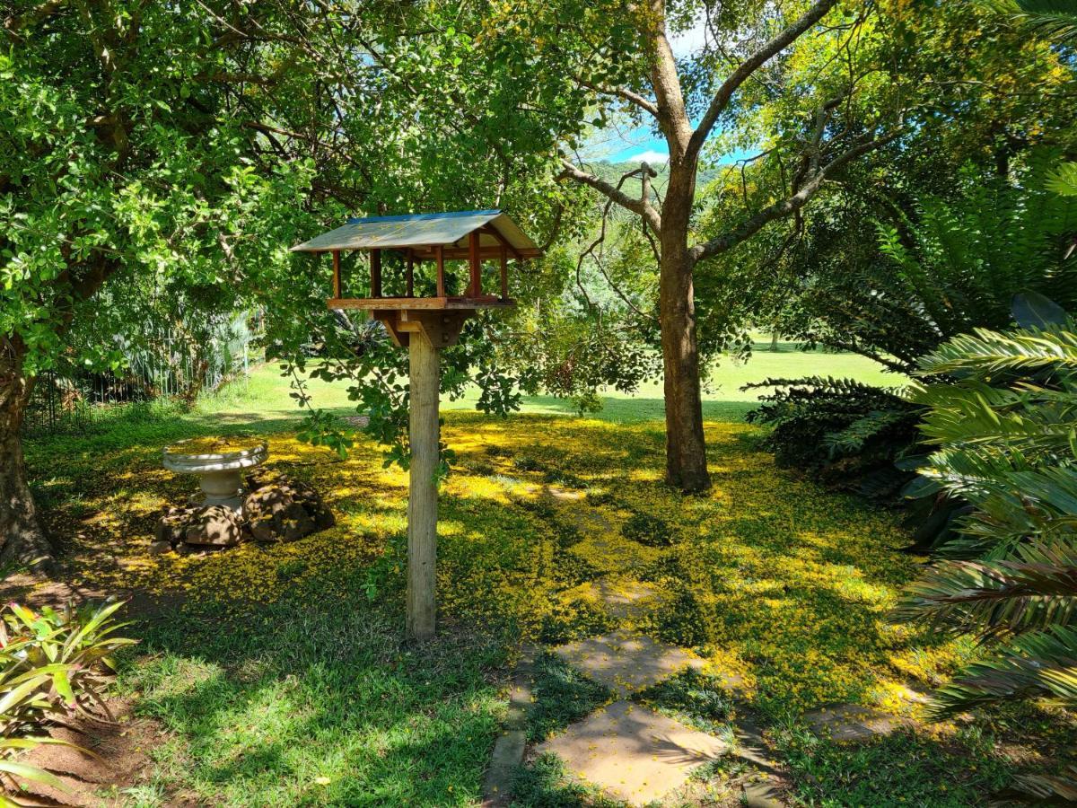 Kiaat Alojamento de Turismo Rural