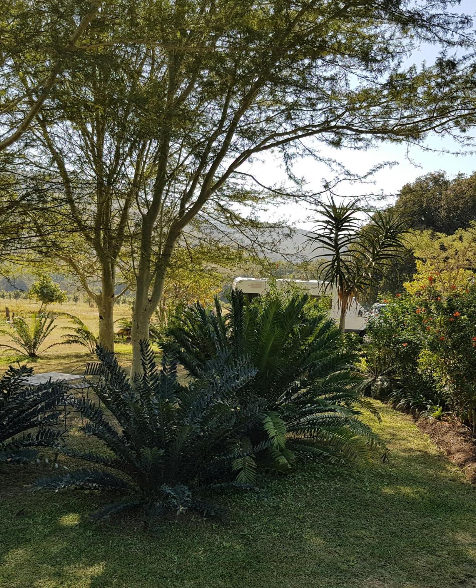 Kiaat Vakantieboerderij *